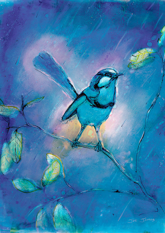 Blue Wren Fine Art Print