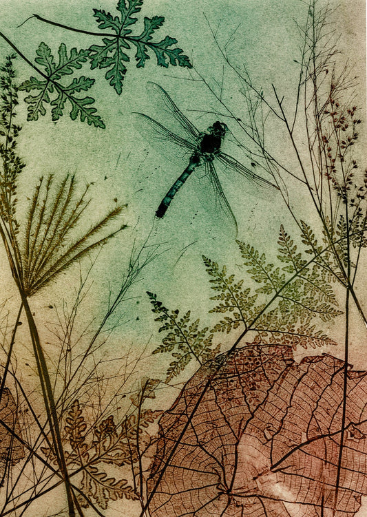 Forrest Dragonfly Fine Art Print