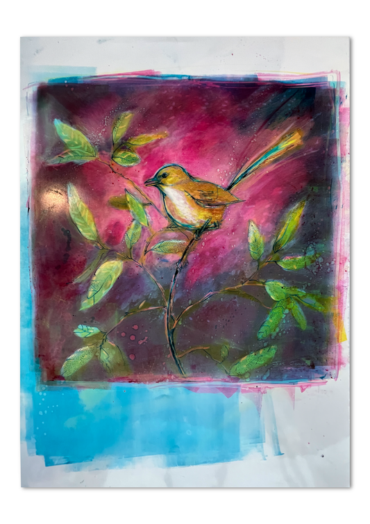 "Pink Wren" - Original Artwork