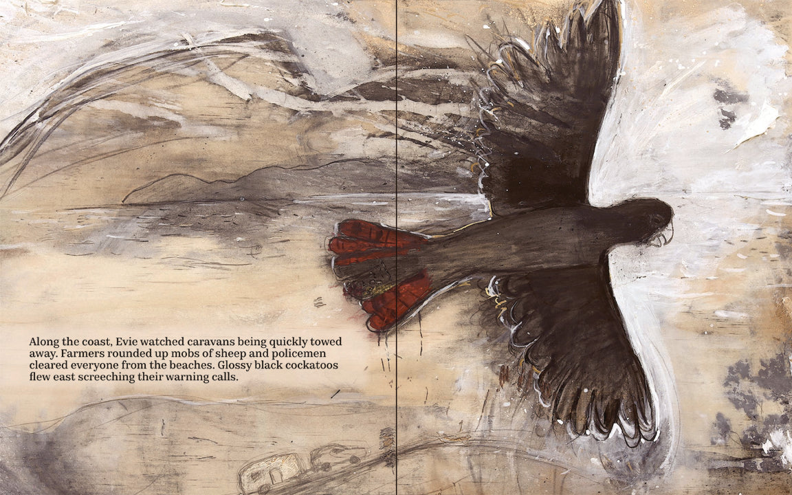 Evie and the Bushfire - Hardcover Children's Book