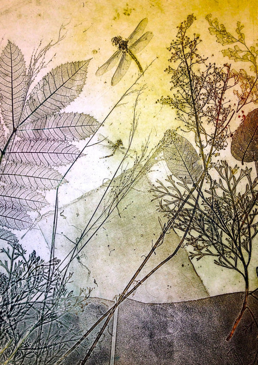 Rustic Dragonfly Fine Art Print