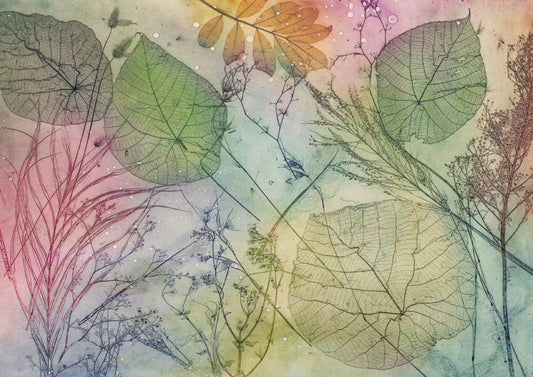 Nature Fine Art Print