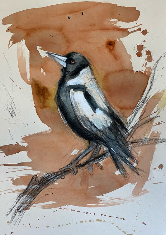 Magpie Fine Art Print