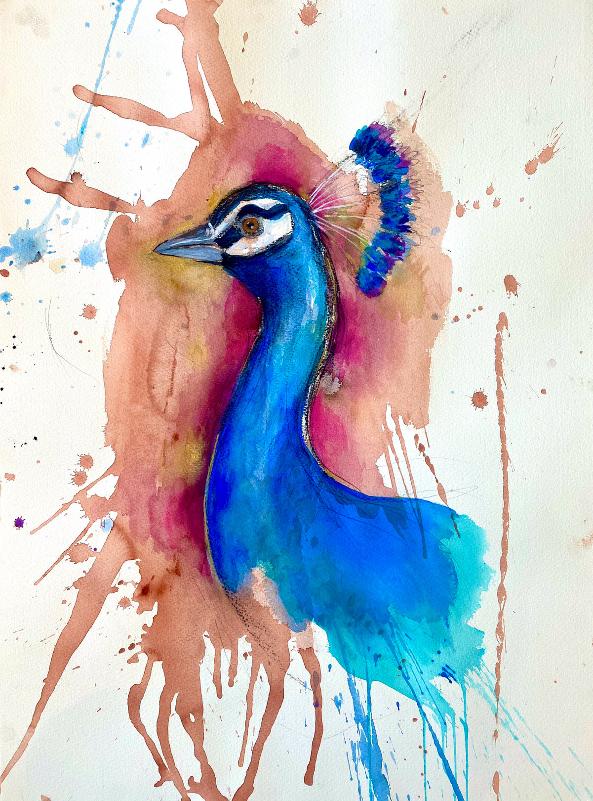 Peacock Fine Art Print