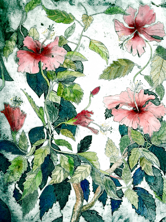 Hibiscus Cycle (white) Fine Art Print