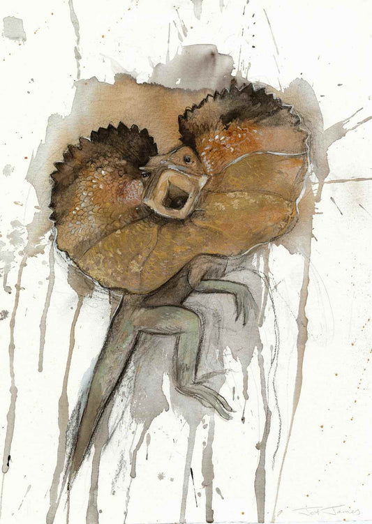 Frilled Neck Lizard Art Print
