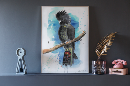 Red Tailed Black Cockatoo Fine Art Print