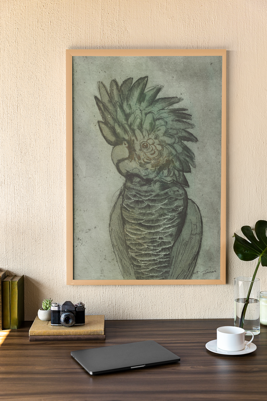 'Black Cockatoo' Fine Art Print