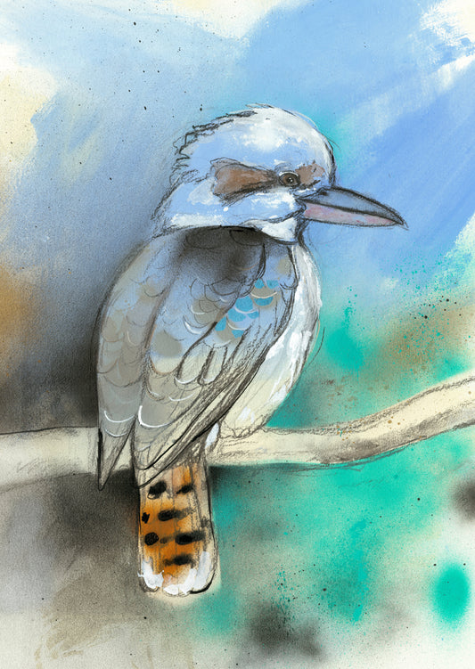 'Pop Kookaburra' Fine Art Print