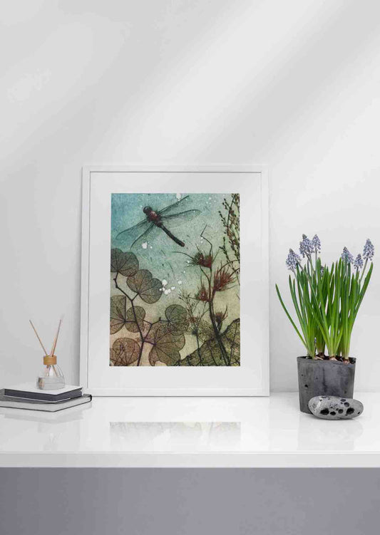 Water Dragonfly Fine Art Print
