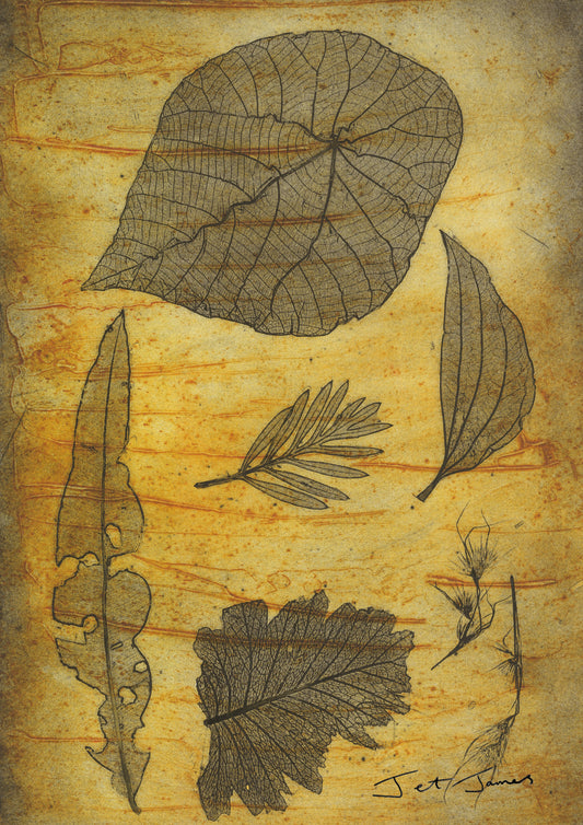 'Raw Amber Nature' Fine Art Print