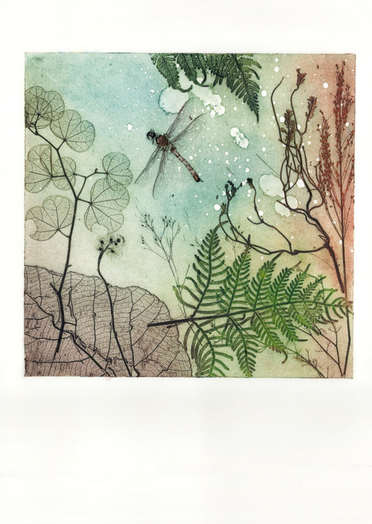 Square Dragonfly Fine Art Print