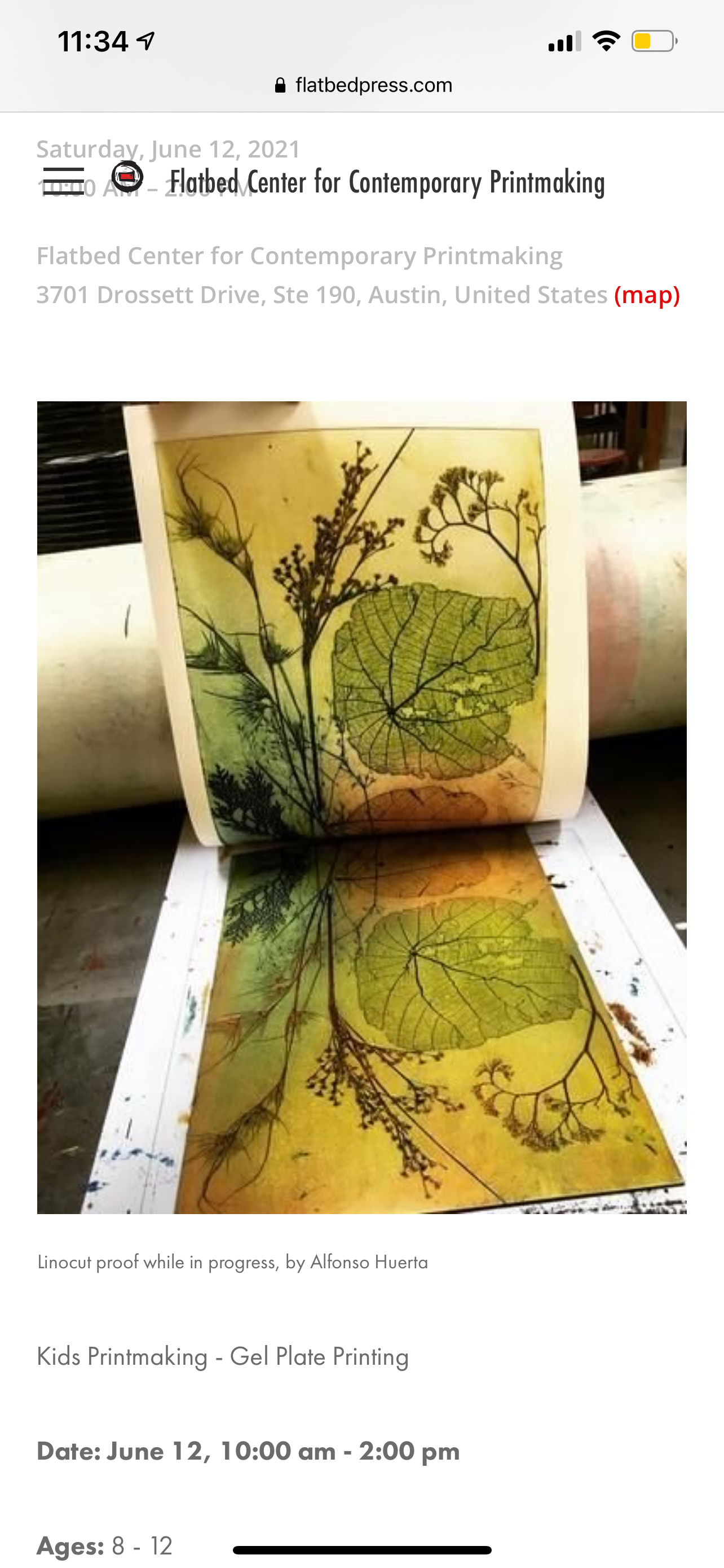 Botanicals & Dragonflies
