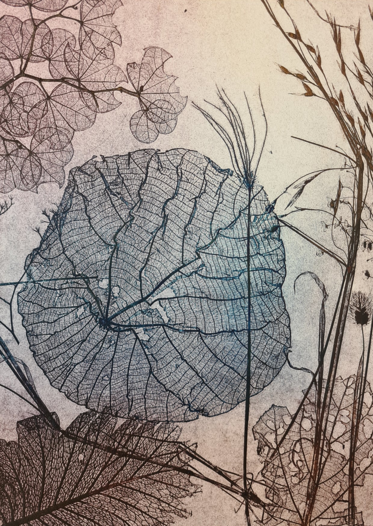 Nature Etching Collection 2022 Jet James Artist