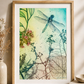 Dragonfly Tombo Fine Art Print