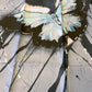 Tea Towel - Butterfly