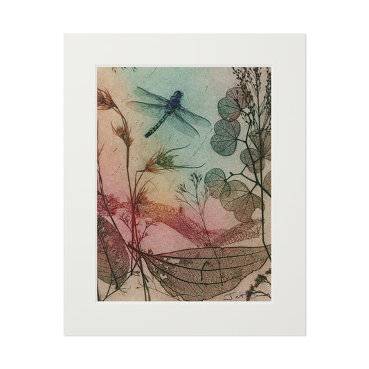 Warm Dragonfly Fine Art Prints (Passepartout Paper Frame) by Jet James