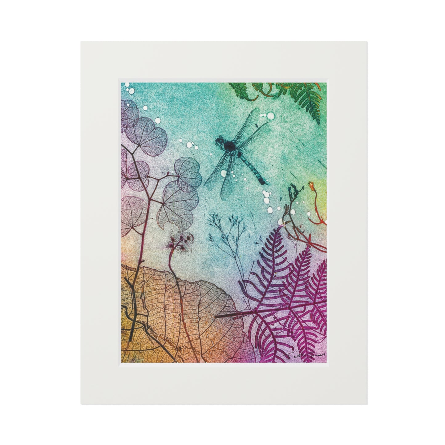 Ocean Dragonfly Fine Art Prints (Passepartout Paper Frame) by Jet James