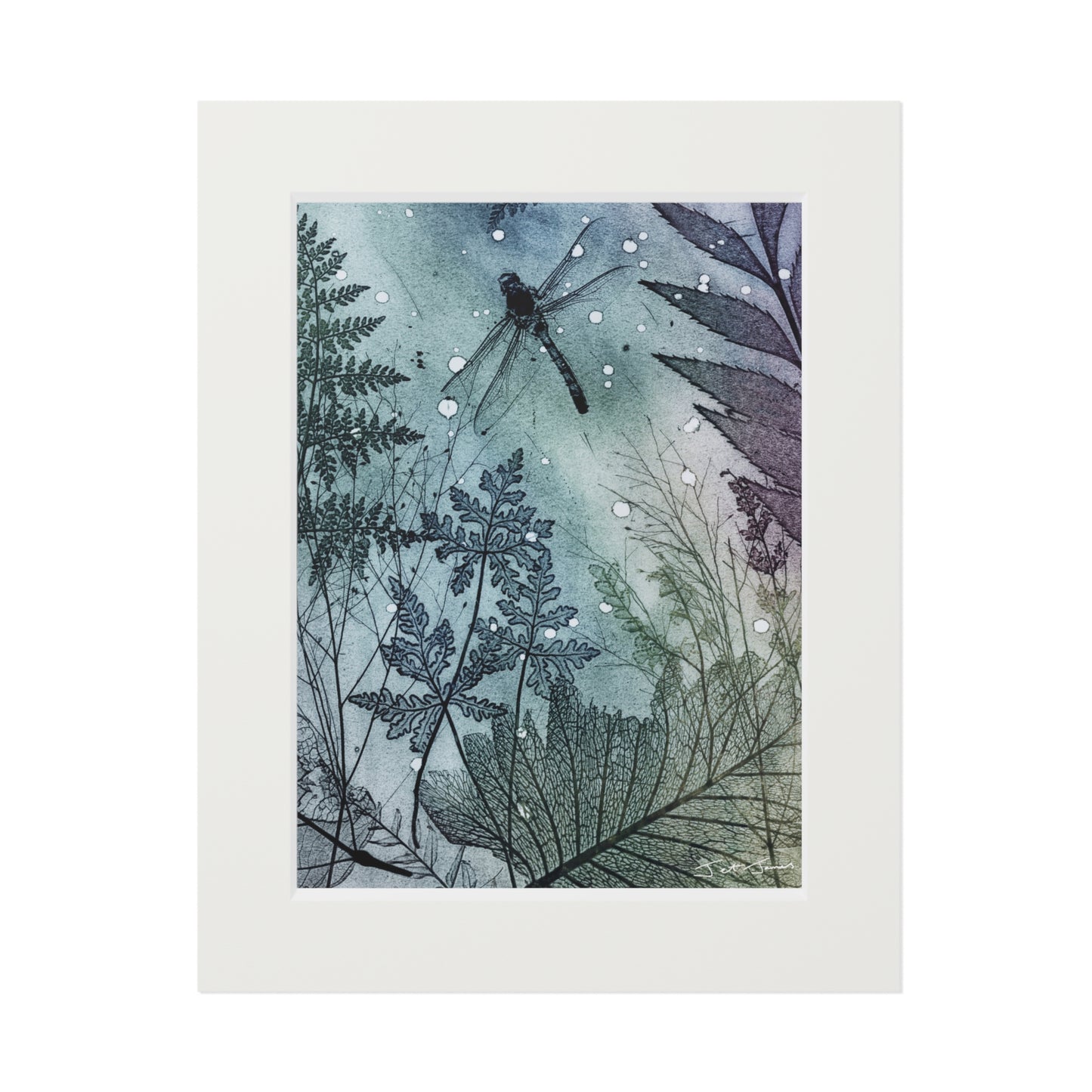 Dragonfly Fine Art Prints (Passepartout Paper Frame) by Jet James