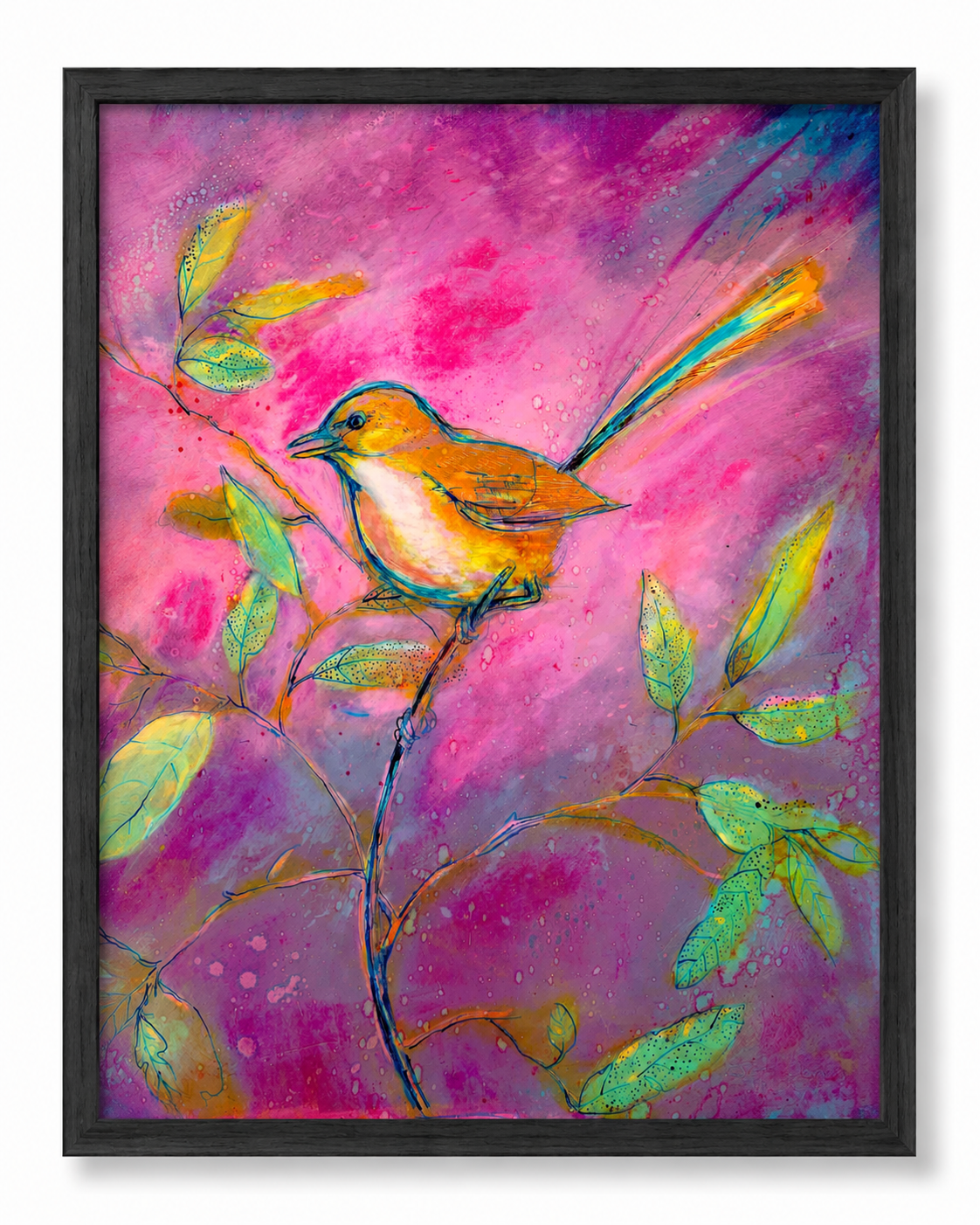 Pink Wren Fine Art Print