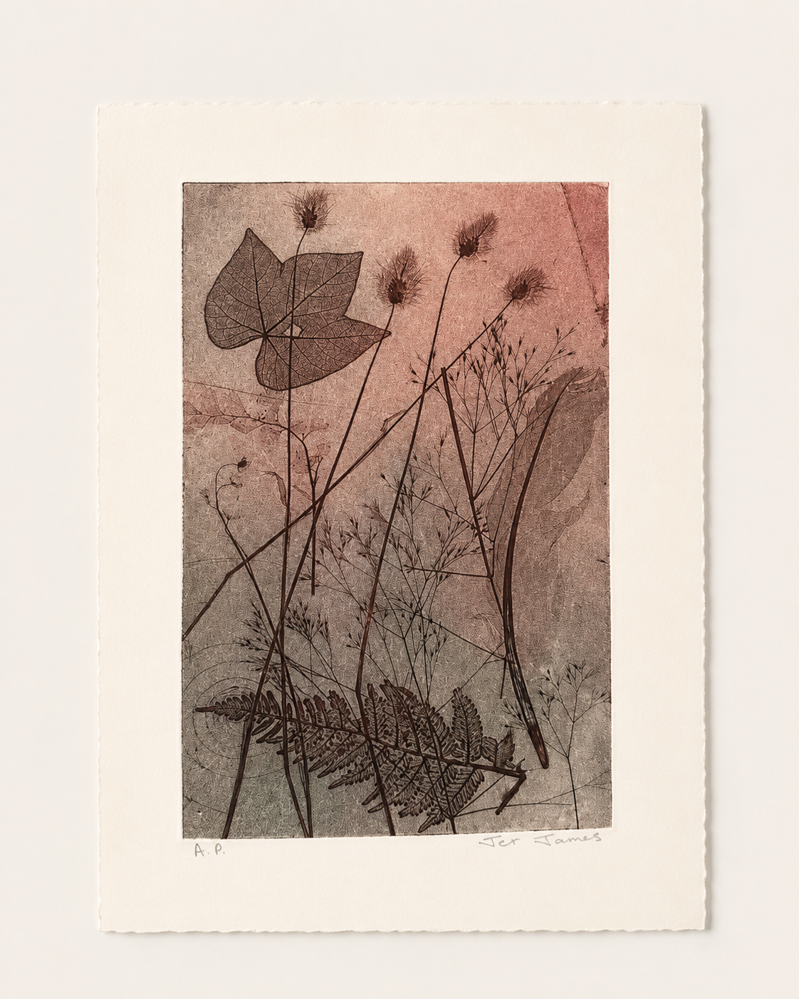 'Nature Echo ' Original Etching