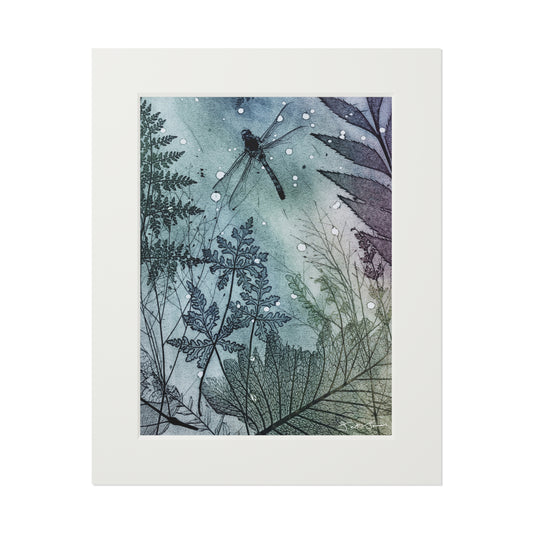 Dragonfly Fine Art Prints (Passepartout Paper Frame) by Jet James