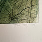 'Dragonfly Dreaming' Original Etching