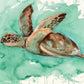 'Sea Turtle 2' Fine Art Print