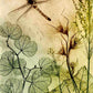 Muted Dragonfly Fine Art Print