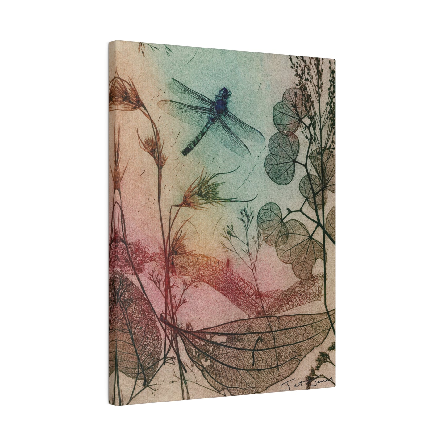 Warm Dragonfly Matte Canvas, Stretched, 0.75"