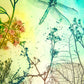 Dragonfly Tombo Fine Art Print