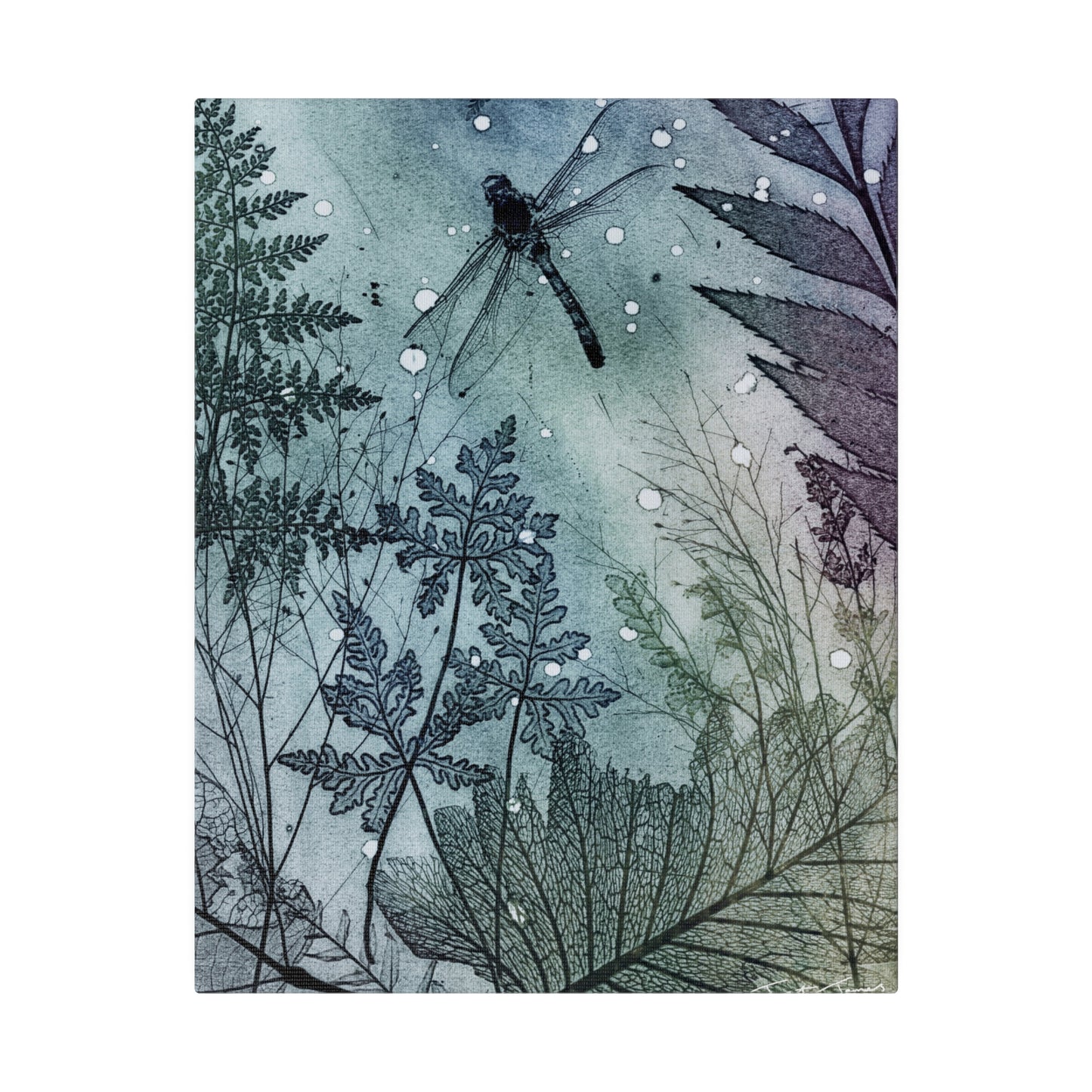 Dark Dragonfly Matte Canvas, Stretched, 0.75"
