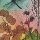 Water Dragonfly 2 Fine Art Print