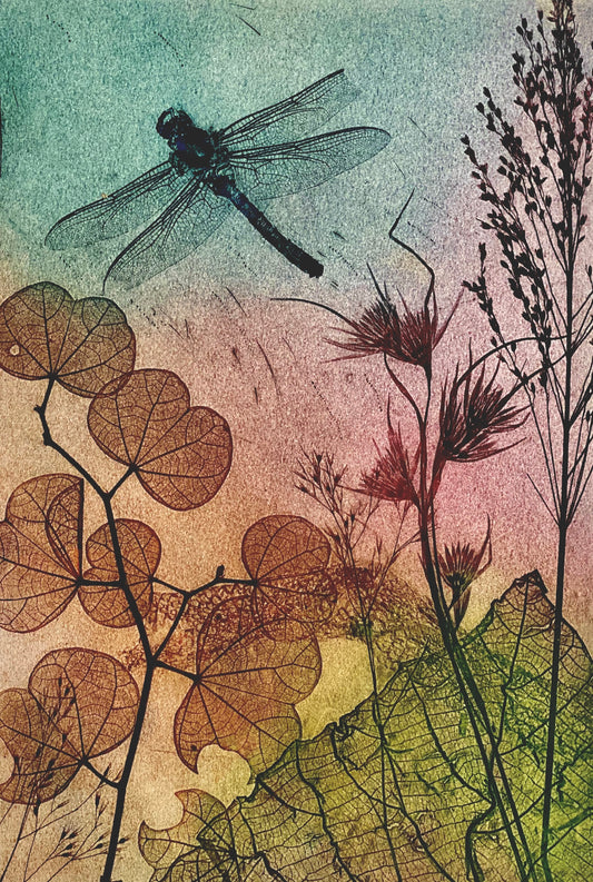 Water Dragonfly 2 Fine Art Print