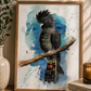 Red Tailed Black Cockatoo Fine Art Print