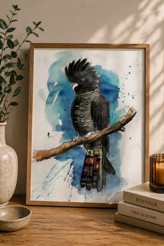 Red Tailed Black Cockatoo Fine Art Print