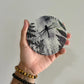 Dark Dragonfly Ceramic Coaster