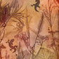 Gecko Run Fine Art Print