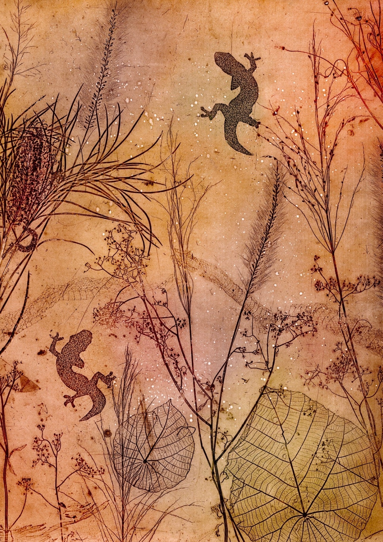 Gecko Run Fine Art Print