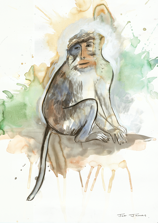 Bali Monkey Fine Art Print