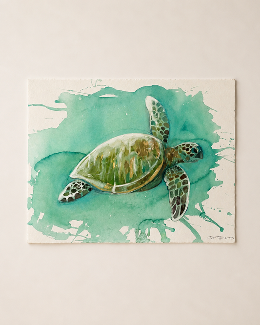 Original Turtle  artwork