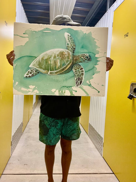 Original Turtle  artwork