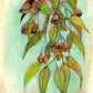 GumTree Art Print