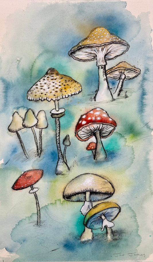 Bright Mushrooms Fine Art Print