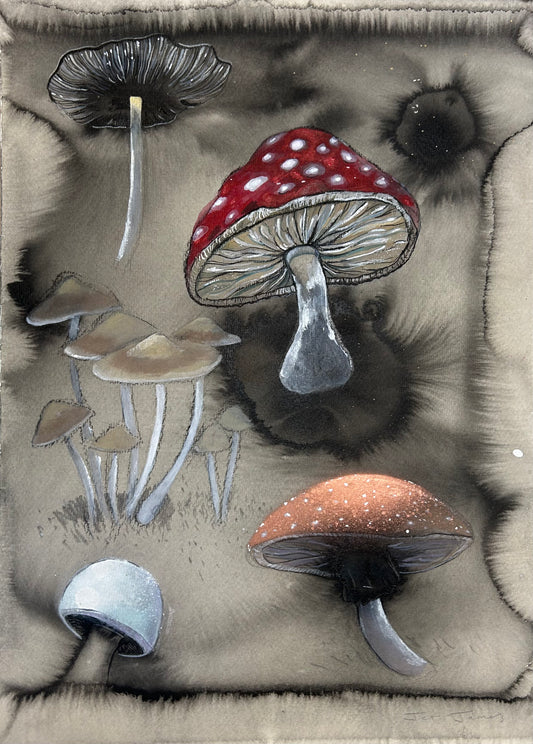 Shadow Mushrooms Fine Art Print