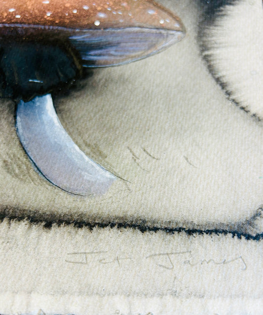 'Shadow Mushroom' Original Artwork