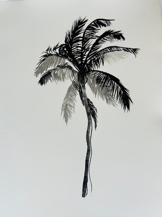 Original Black and White Palm Drawing #4