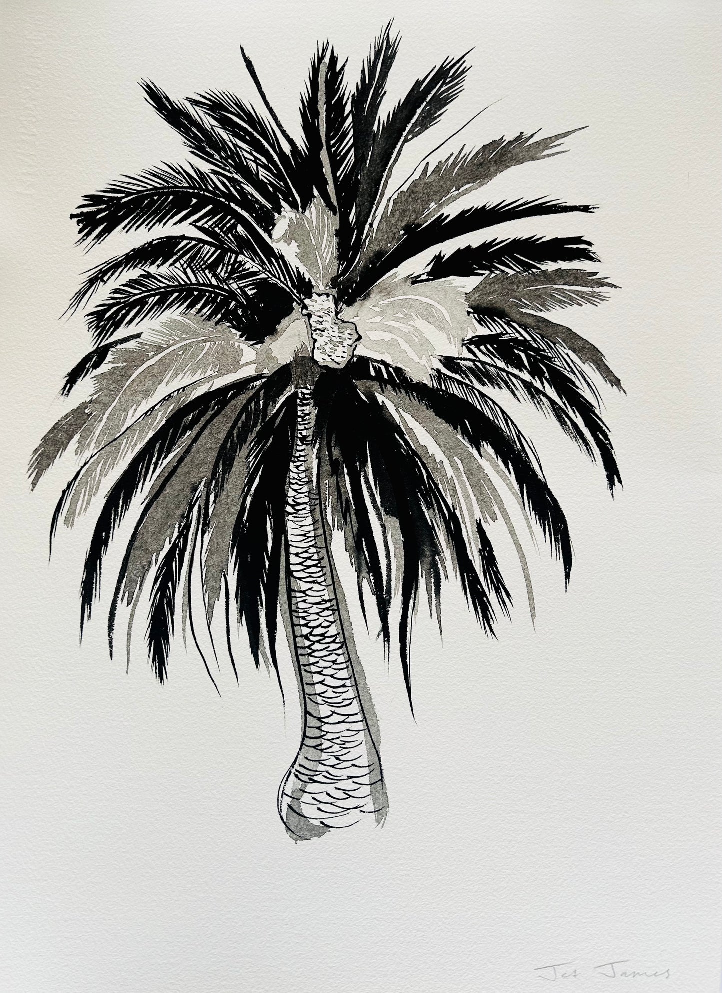 Original Black and White Palm Drawing #7