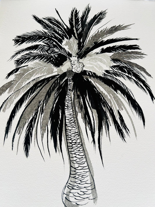 Original Black and White Palm Drawing #7