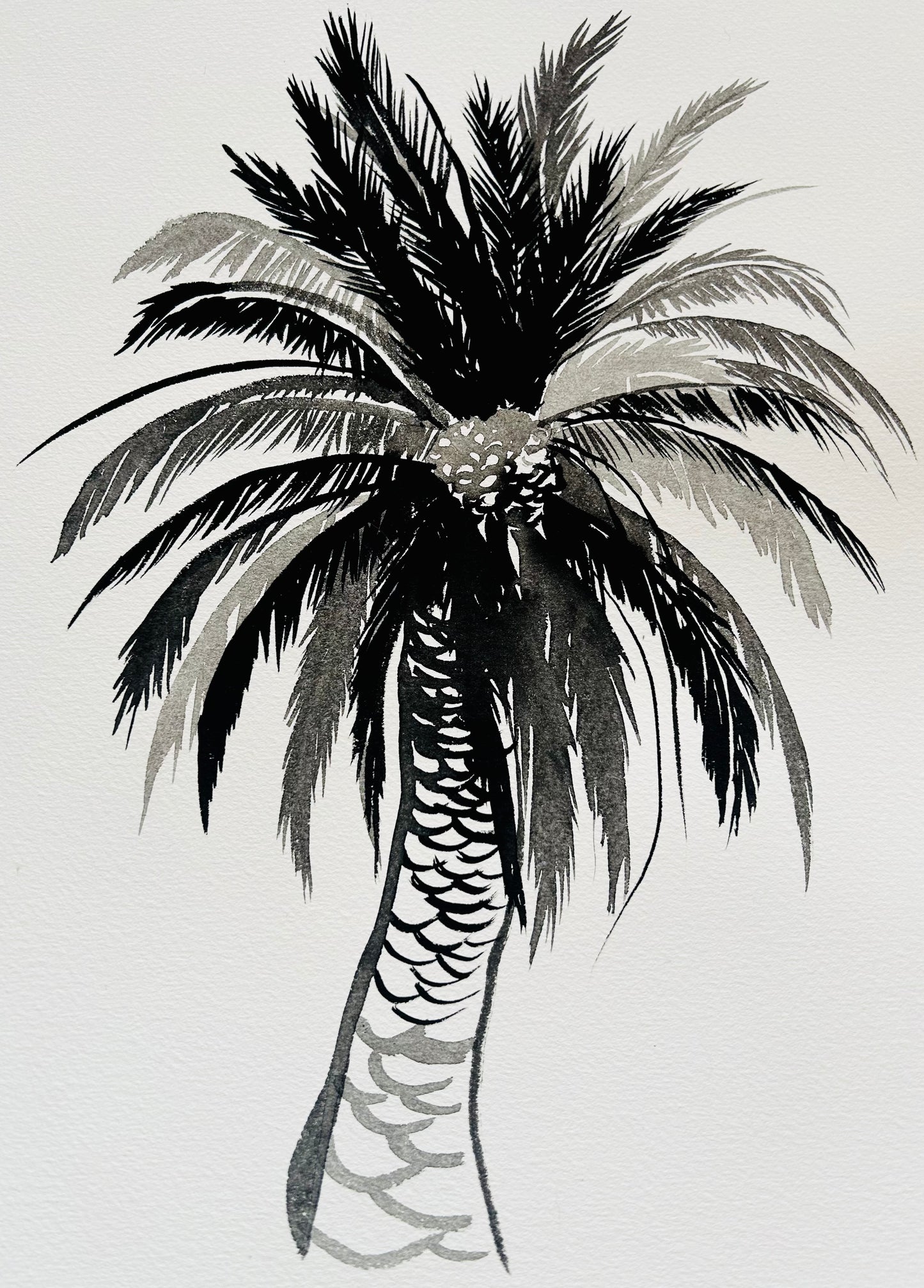 Original Black and White Palm Drawing #8